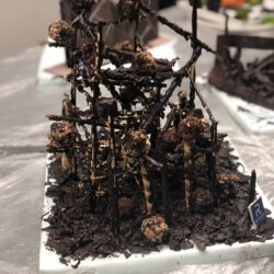 48416682_2212260225763308_4056275025395712000_o