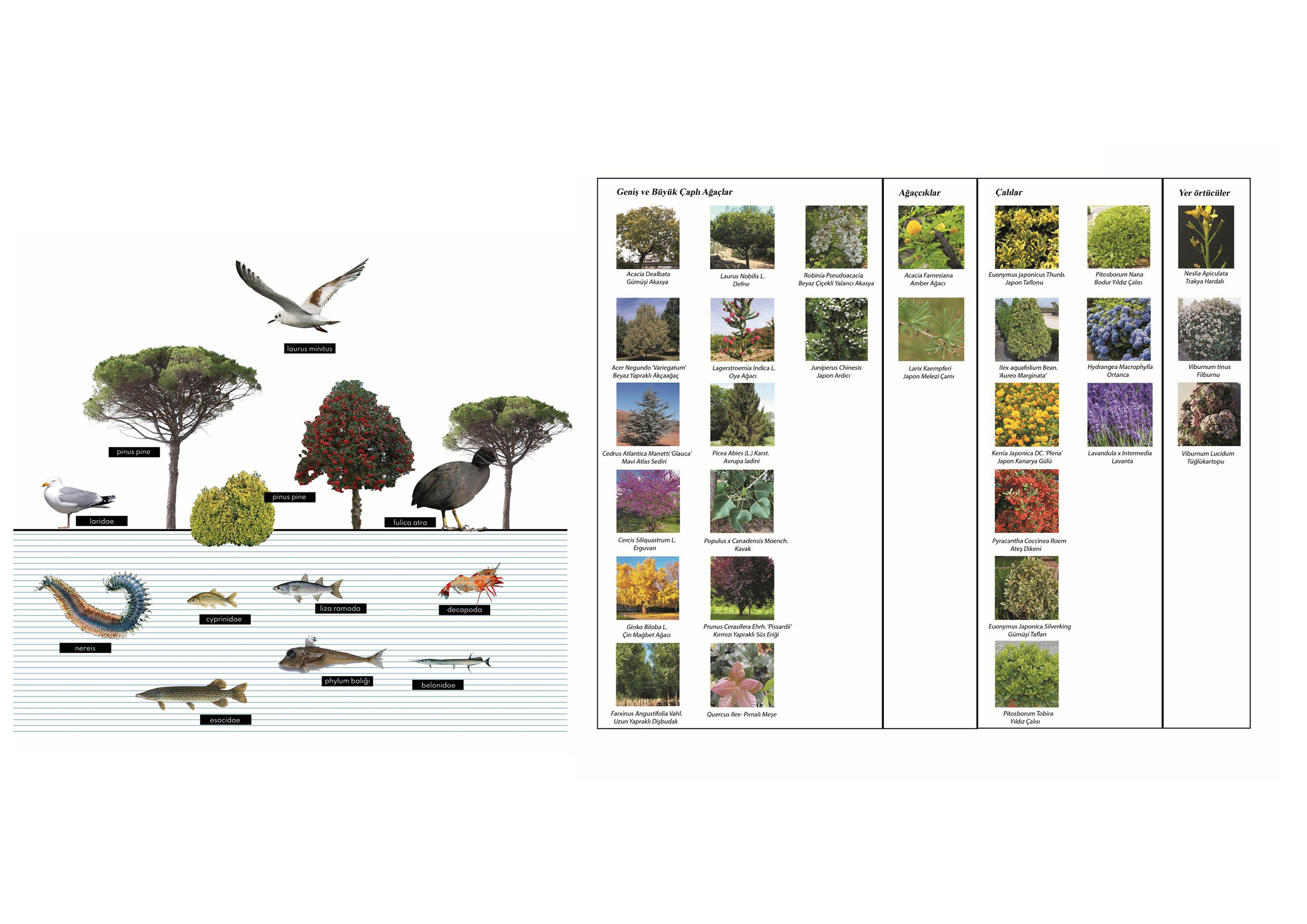 3 küçükçekmece (2)