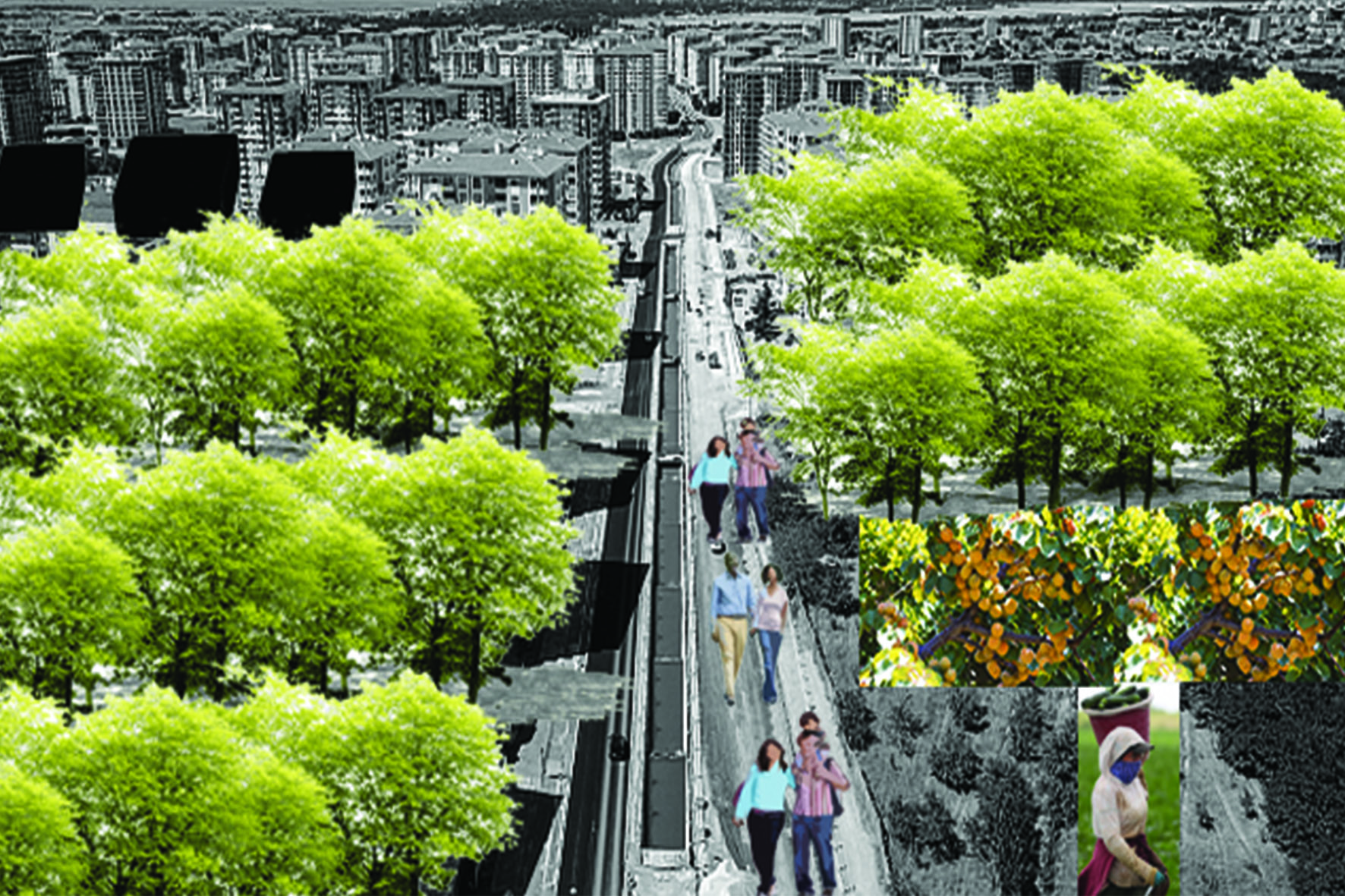 kartpostallar_Sayfa_22